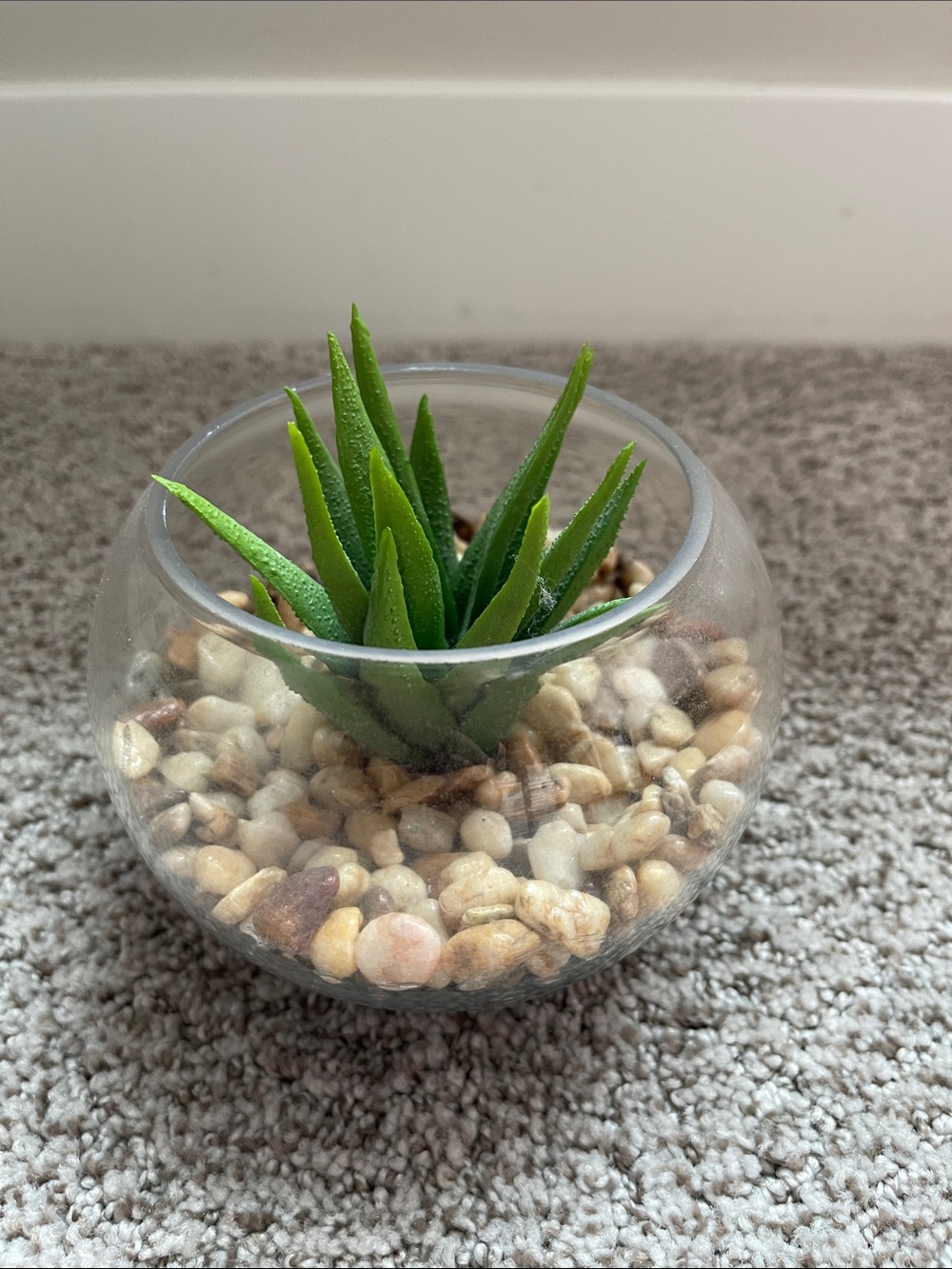 Threshold Green Faux Succulent in Clear Glass Bowl with Pebble Base